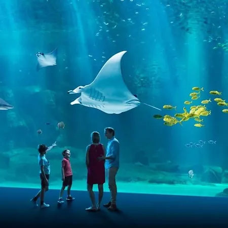 Porte Neuve - Remparts *